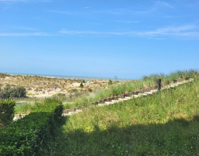 Appartement zum kauf Oostduinkerke