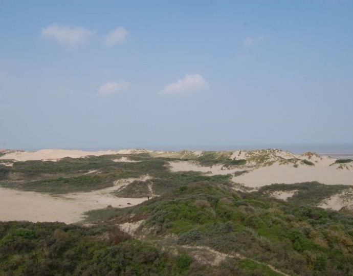 Studio spacieux avec vue sur les dunes et la mer.